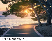 A serene coastal walkway at sunset with lush pine trees in summer. The sun sets over calm waters, warm golden glow on the path. Ideal for themes of nature, tranquility, and seaside travel. Sea coast. Serene coastal walkway at sunset with lush pine trees in summer. Стоковое фото, агентство Ingram Publishing / Фотобанк Лори