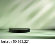 Minimal 3D Black Circular Podium, Sophisticated Product Display and Mockup on Green Background for Stylish Showroom Showcase. Стоковая иллюстрация, агентство Ingram Publishing / Фотобанк Лори