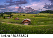 Amazing Alpe di Siusi at sunset in summer. Colorful landscape with alpine mountains in low clouds, village with wooden houses, green meadows, yellow flowers on hills, purple sky. Dolomites, Italy. Стоковое фото, агентство Ingram Publishing / Фотобанк Лори