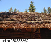 Thatched roof horizontal color photo image. Стоковое фото, агентство Ingram Publishing / Фотобанк Лори