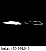 Axolotl ambystoma mexicanum view side set icon white color vector illustration image simple solid fill outline contour line thin flat style. Axolotl ambystoma mexicanum view side set icon white color vector illustration image solid fill outline contour line thin flat style. Стоковая иллюстрация, агентство Ingram Publishing / Фотобанк Лори