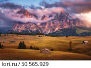 Amazing Alpe di Siusi at sunset in autumn. Colorful landscape with alpine mountains in low clouds, wooden houses, orange meadows, rocks, flowers on hills, purple sky in fall. Dolomites, Italy. Wooden houses on orange meadows in mountain valley in autumn. Стоковое фото, агентство Ingram Publishing / Фотобанк Лори