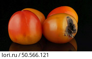 Red ripe persimmons rotating over black background. Стоковое фото, агентство Ingram Publishing / Фотобанк Лори