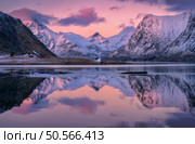 Beautiful pink sunset illuminating snowy mountains and houses reflecting in the calm water of a fjord in Lofoten islands, Norway. Winter landscape with sea, pink sky with clouds, rorbu, rocks in snow. Tranquil winter scene: pink and purple sunset over snowy mountains and houses reflecting in calm fjord waters of lofoten islands, norway. Стоковое фото, агентство Ingram Publishing / Фотобанк Лори