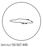 Axolotl ambystoma mexicanum view side icon in circle round black color vector illustration image outline contour line thin style simple. Axolotl ambystoma mexicanum view side icon in circle round black color vector illustration image outline contour line thin style. Стоковая иллюстрация, агентство Ingram Publishing / Фотобанк Лори