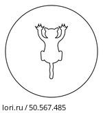 Cat scratching harm icon in circle round black color vector illustration image outline contour line thin style simple. Cat scratching harm icon in circle round black color vector illustration image outline contour line thin style. Стоковая иллюстрация, агентство Ingram Publishing / Фотобанк Лори