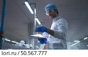 Raw material quality inspectors evaluate and inspect fish pieces before they enter the canned fish production process. Стоковое фото, агентство Ingram Publishing / Фотобанк Лори