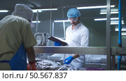 Raw material quality inspectors evaluate and inspect fish pieces before they enter the canned fish production process. Стоковое фото, агентство Ingram Publishing / Фотобанк Лори