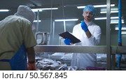 Raw material quality inspectors evaluate and inspect fish pieces before they enter the canned fish production process. Стоковое фото, агентство Ingram Publishing / Фотобанк Лори