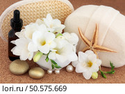 Fresia flower blossom, aromatherapy essential oil bottle, starfish,  pearls, gold spa stones, exfoliating scrub and towel covered sponge over cork background. Стоковое фото, агентство Ingram Publishing / Фотобанк Лори