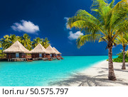 Sandy tropical beach with shells, bottle with message and starfish. Sandy tropical beach with bottle and starfish. Стоковое фото, агентство Ingram Publishing / Фотобанк Лори