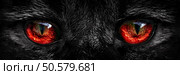 shaggy monster red eyes closeup. Стоковое фото, агентство Ingram Publishing / Фотобанк Лори