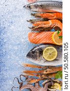 Fresh seafood on crushed ice, close-up.. Fresh seafood on crushed ice. Стоковое фото, агентство Ingram Publishing / Фотобанк Лори