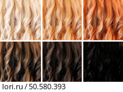 Set of hair colors, different tints. Стоковое фото, агентство Ingram Publishing / Фотобанк Лори