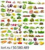 set of vegetable on white background. Стоковое фото, агентство Ingram Publishing / Фотобанк Лори