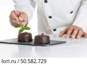 Confectioner putting the last ornament to a cake. Стоковое фото, агентство Ingram Publishing / Фотобанк Лори