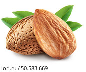 Almonds with leaves isolated on white background. Image with maximum sharpness. Clipping path. Стоковое фото, агентство Ingram Publishing / Фотобанк Лори