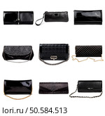 Set of dark,different female purses on a white background.9 pieces. Стоковое фото, агентство Ingram Publishing / Фотобанк Лори