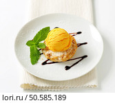 Mini Sbrisolona cookie with scoop of yellow ice cream. Стоковое фото, агентство Ingram Publishing / Фотобанк Лори