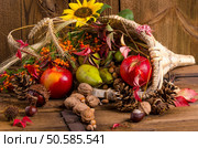 Cornucopia. Стоковое фото, агентство Ingram Publishing / Фотобанк Лори