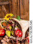 Cornucopia. Стоковое фото, агентство Ingram Publishing / Фотобанк Лори