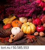 Cornucopia. Стоковое фото, агентство Ingram Publishing / Фотобанк Лори