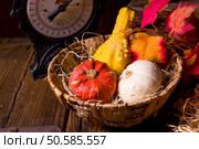 Cornucopia. Стоковое фото, агентство Ingram Publishing / Фотобанк Лори