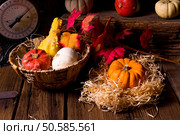 Cornucopia. Стоковое фото, агентство Ingram Publishing / Фотобанк Лори
