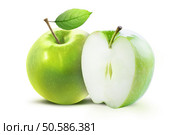 Green apple and half of green apple isolated on white background with clipping path. Two juicy ripe colored apples on a white background isolated with clipping path.. Green apples isolated with clipping path. Стоковое фото, агентство Ingram Publishing / Фотобанк Лори