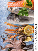 Fresh seafood on crushed ice, close-up.. Fresh seafood on crushed ice. Стоковое фото, агентство Ingram Publishing / Фотобанк Лори