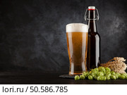 Beer glass and bottle with malt and hops, dark background. Beer glass on dark background. Стоковое фото, агентство Ingram Publishing / Фотобанк Лори