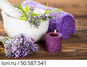 Wellness treatments with lavender flowers on wooden table. Spa still-life.. Wellness treatments with lavender flowers. Стоковое фото, агентство Ingram Publishing / Фотобанк Лори