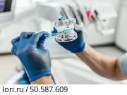 Dentistry. Models of human teeth. Manufacture of dental prostheses. Installation of implants with toothbrush. Стоковое фото, агентство Ingram Publishing / Фотобанк Лори