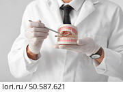 Male dentist with plastic jaw model on light background, closeup. Стоковое фото, агентство Ingram Publishing / Фотобанк Лори