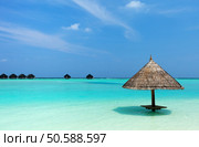 Tropical thatch umbrella on a beautiful beach at Maldives. Стоковое фото, агентство Ingram Publishing / Фотобанк Лори