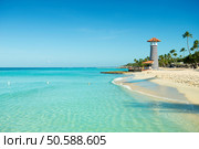 Paradise Caribbean landscape. Clear sea, white sand, tropical palm trees and lighthouse on sandy shore. Стоковое фото, агентство Ingram Publishing / Фотобанк Лори