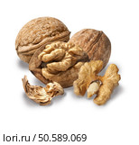 Dried walnuts  isolated on white background. Стоковое фото, агентство Ingram Publishing / Фотобанк Лори