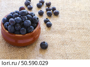 Fresh blueberries in clay bowl on sacking  background witj copyspace. Стоковое фото, агентство Ingram Publishing / Фотобанк Лори