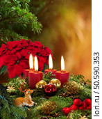       . Advent wreath. Стоковое фото, агентство Ingram Publishing / Фотобанк Лори