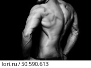 Muscular back and sexy torso of young man. Perfect back muscles and triceps. Black and white. Muscular back and sexy torso of young man. Perfect body, muscles, triceps. Стоковое фото, агентство Ingram Publishing / Фотобанк Лори