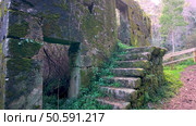 A moss-covered stone staircase leads into the depths of an overgrown ruin near Cascata do Outeiro. The scene evokes a sense of mystery and history in Oliveira de Azemeis. Стоковое фото, агентство Ingram Publishing / Фотобанк Лори