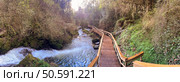 A wooden walkway meanders alongside a rushing river through a vibrant green forest near Cascata do Outeiro. The scene captures the tranquility and natural beauty of Oliveira de Azemeis. Стоковое фото, агентство Ingram Publishing / Фотобанк Лори