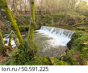 A small waterfall cascades over a man-made dam, creating a peaceful scene near Cascata do Outeiro. Mossy trees and lush foliage frame the water in this tranquil spot in Oliveira de Azemeis. Стоковое фото, агентство Ingram Publishing / Фотобанк Лори