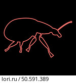 Neon weevil insect pest red color vector illustration image flat style light. Neon weevil insect pest red color vector illustration image flat style. Стоковая иллюстрация, агентство Ingram Publishing / Фотобанк Лори