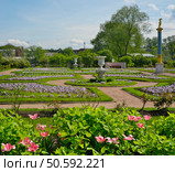 Empress Alexandra Feodorovna’s Private Garden at the Tsaritsyn Pavilion, Petrodvorets (Peterhof, St. Petersburg, Russia) Стоковое фото, фотограф Елена  Попкова / Фотобанк Лори