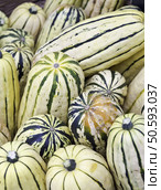 Delicata squash (binomial name: Cucurbita pepo var. pepo "Delicata"), also known as peanut squash and sweet potato squash, at farmer's market in Oregon (shallow depth of field) Стоковое фото, агентство Ingram Publishing / Фотобанк Лори