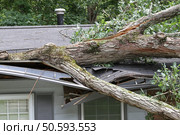 Storm Damage. Стоковое фото, агентство Ingram Publishing / Фотобанк Лори