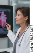 Female doctor explaining human heart anatomy on digital screen. Стоковое AI-видео, аниматор Юрий Поздников / Фотобанк Лори