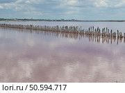 Розовое солёное озеро в Крыму. Стоковое фото, фотограф Snezka / Фотобанк Лори