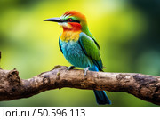 Colorful bee eater bird perching on branch in vibrant nature setting. Стоковое AI-изображение, AI-художник Иван Рябоконь / Фотобанк Лори